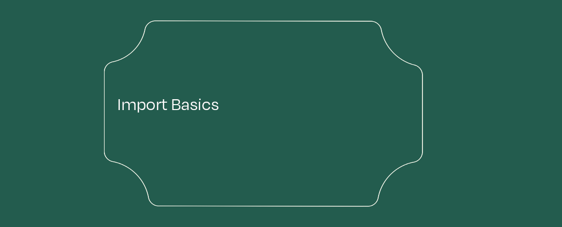 Import Basics featured image