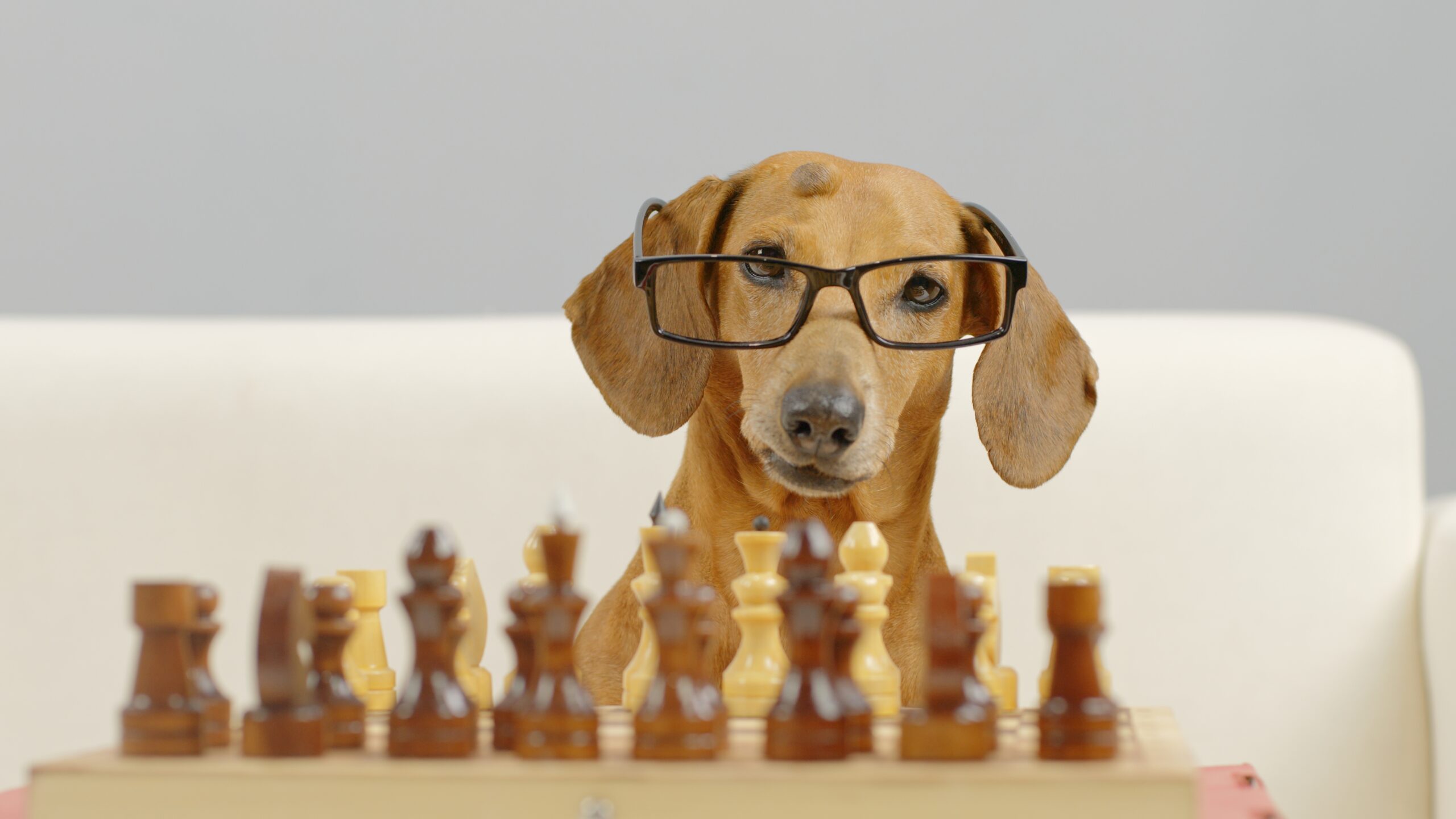 5 challenges that CRM software helps you solve thumbnail