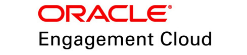 small oracle engagement alternative to oracle engagement cloud